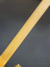 FUJIGEN NPB100MAH -Natural-【3.82kg】_9