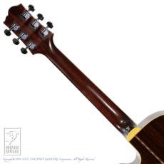 Santa Cruz F-Cutaway_7