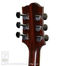 Santa Cruz F-Cutaway_9