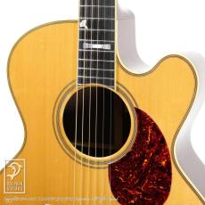 Santa Cruz F-Cutaway_11