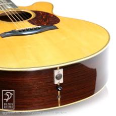 Santa Cruz F-Cutaway_14
