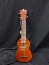 ARIA ACU-1KE -Concert, Electric-
