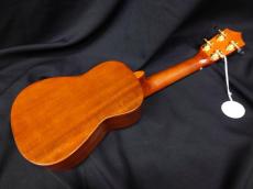 ARIA ACU-1KE -Concert, Electric-_3