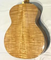 Taylor GA6e_2