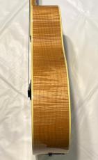 Taylor GA6e_5