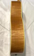 Taylor GA6e_6
