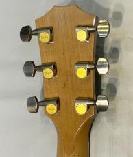 Taylor GA6e_9