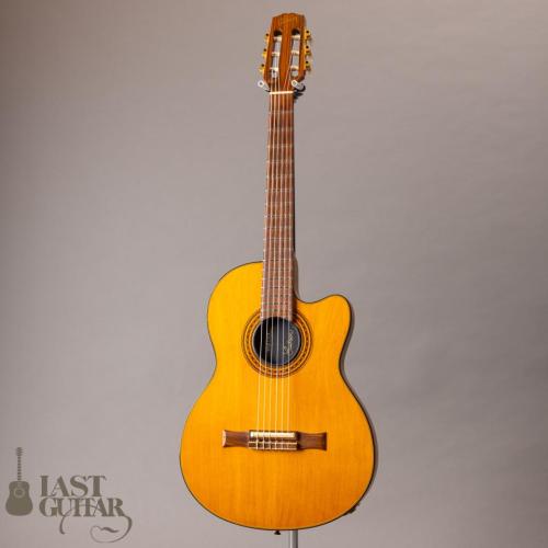 Gibson Chet Atkins CE '93