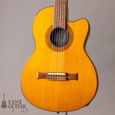 Gibson Chet Atkins CE '93_2