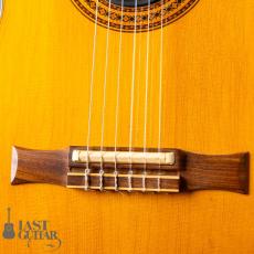 Gibson Chet Atkins CE '93_3