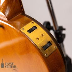 Gibson Chet Atkins CE '93_11