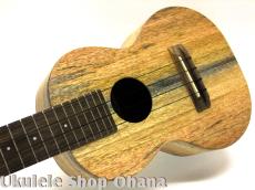 Pono [MGC-K] Kalele Series コンサート マンゴー単板_6