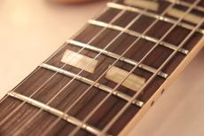 Gibson 1960/61 ES-345TDSV "Water Melon Cherry with Long Guard & P.A.F.Pickups"_4