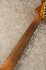 Red House Seeker S 24F SSH Heavy Aged w/Master Grade Roasted Flame Maple -Inca Silver / ISV-_10