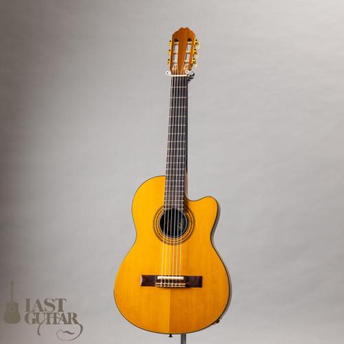 Gibson Chet Atkins CE ’91