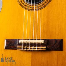 Gibson Chet Atkins CE ’91_3