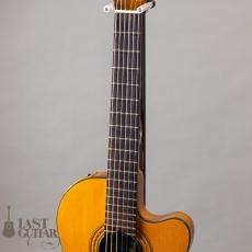 Gibson Chet Atkins CE ’91_5