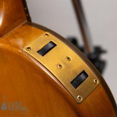 Gibson Chet Atkins CE ’91_11
