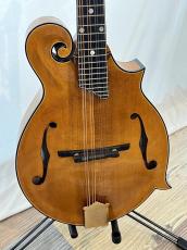 Gibson F-5_2