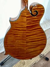 Gibson F-5_3