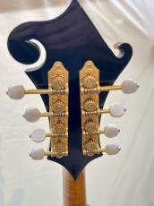 Gibson F-5_5