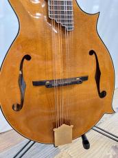 Gibson F-5_9