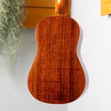ki-bo-ukulele S4-RWGN-D_9