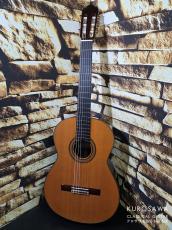 Jose Antonio [ホセ・アントニオ] JF-200 フレタスタイル 松・ローズウッド 【日本総本店2F 在庫品】_2
