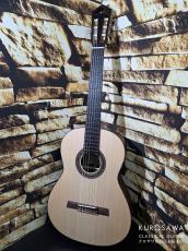 Hofner カール・ヘフナー Classical Master Series HM89-0 松・ローズウッド 【日本総本店2F 在庫品】_2
