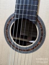 Hofner カール・ヘフナー Classical Master Series HM89-0 松・ローズウッド 【日本総本店2F 在庫品】_3