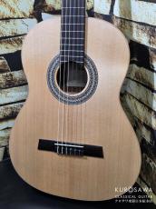 Hofner カール・ヘフナー Classic Series HF18 松単板・ジリコテ【日本総本店2F 在庫品】_2