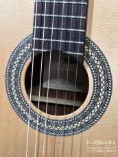 Hofner カール・ヘフナー Classic Series HF18 松単板・ジリコテ【日本総本店2F 在庫品】_3