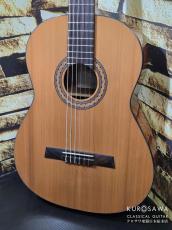 Hofner カール・ヘフナー Classic Series HZ25 杉単板・マホガニー 【日本総本店2F 在庫品】_2