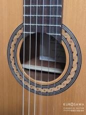 Hofner カール・ヘフナー Classic Series HZ25 杉単板・マホガニー 【日本総本店2F 在庫品】_3