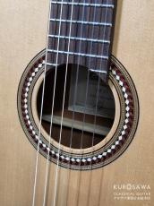 Hofner カール・ヘフナー Classic Series HF15 松単板・マホガニー【日本総本店2F 在庫品】_3