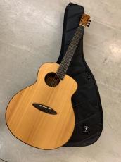 aNueNue Bird L-10 アヌエヌエ ラージボディーサイズ !ギグバック付き