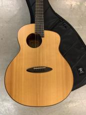 aNueNue Bird L-10 アヌエヌエ ラージボディーサイズ !ギグバック付き_2