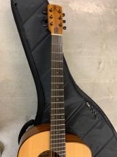 aNueNue Bird L-10 アヌエヌエ ラージボディーサイズ !ギグバック付き_3