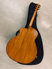 aNueNue Bird L-10 アヌエヌエ ラージボディーサイズ !ギグバック付き_5