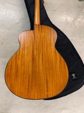 aNueNue Bird L-10 アヌエヌエ ラージボディーサイズ !ギグバック付き_6