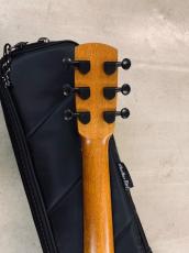 aNueNue Bird L-10 アヌエヌエ ラージボディーサイズ !ギグバック付き_8