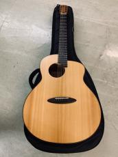aNueNue Bird L-10 アヌエヌエ ラージボディーサイズ !ギグバック付き_10