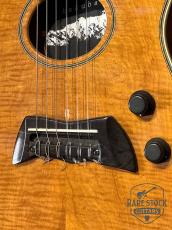 Mosrite Hakuba Electric Gut Guitar_5
