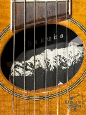 Mosrite Hakuba Electric Gut Guitar_6