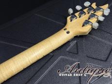 EVH Wolfgang USA 2011 Vintage White /Birdseye Maple FB FRT w/D-Tuner 3.58kg Near-Mint "T-Parts Up Grade"_9