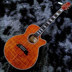 Takamine TSP178ACK N 【2025年製】【日本製】【エレアコ】_2