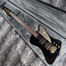 Epiphone Rex Brown Thunderbird Ebony_2