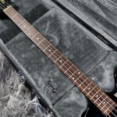 Epiphone Rex Brown Thunderbird Ebony_3