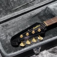 Epiphone Rex Brown Thunderbird Ebony_4