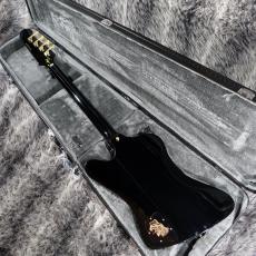 Epiphone Rex Brown Thunderbird Ebony_5